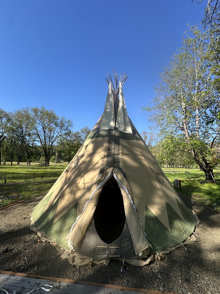 Deer Tipi accommodation photo 1