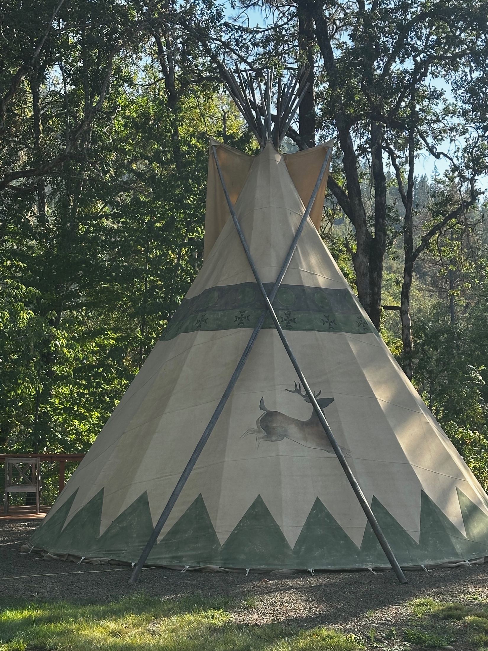 Deer Tipi accommodation photo 4