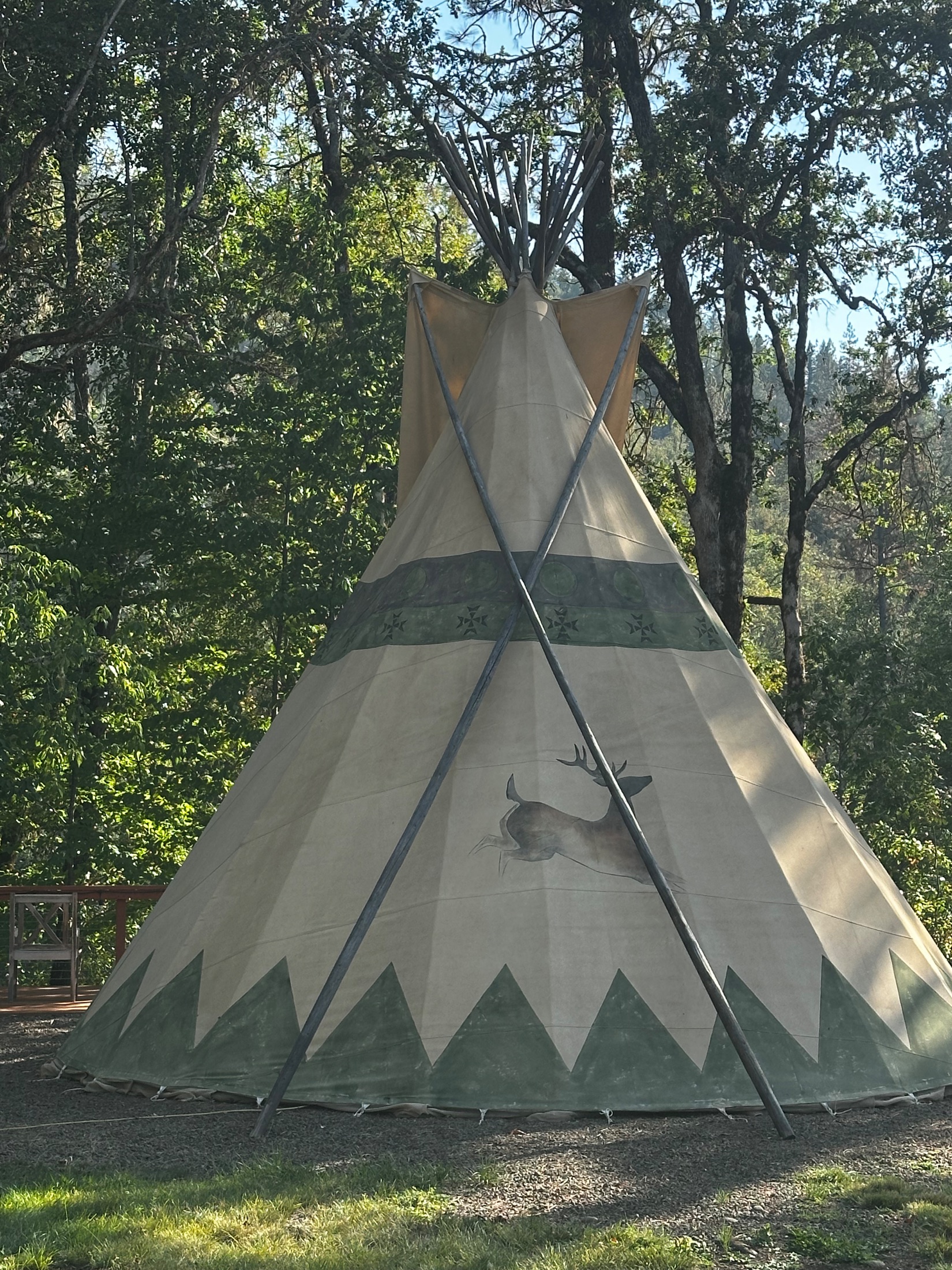 Deer Tipi accommodation photo 8