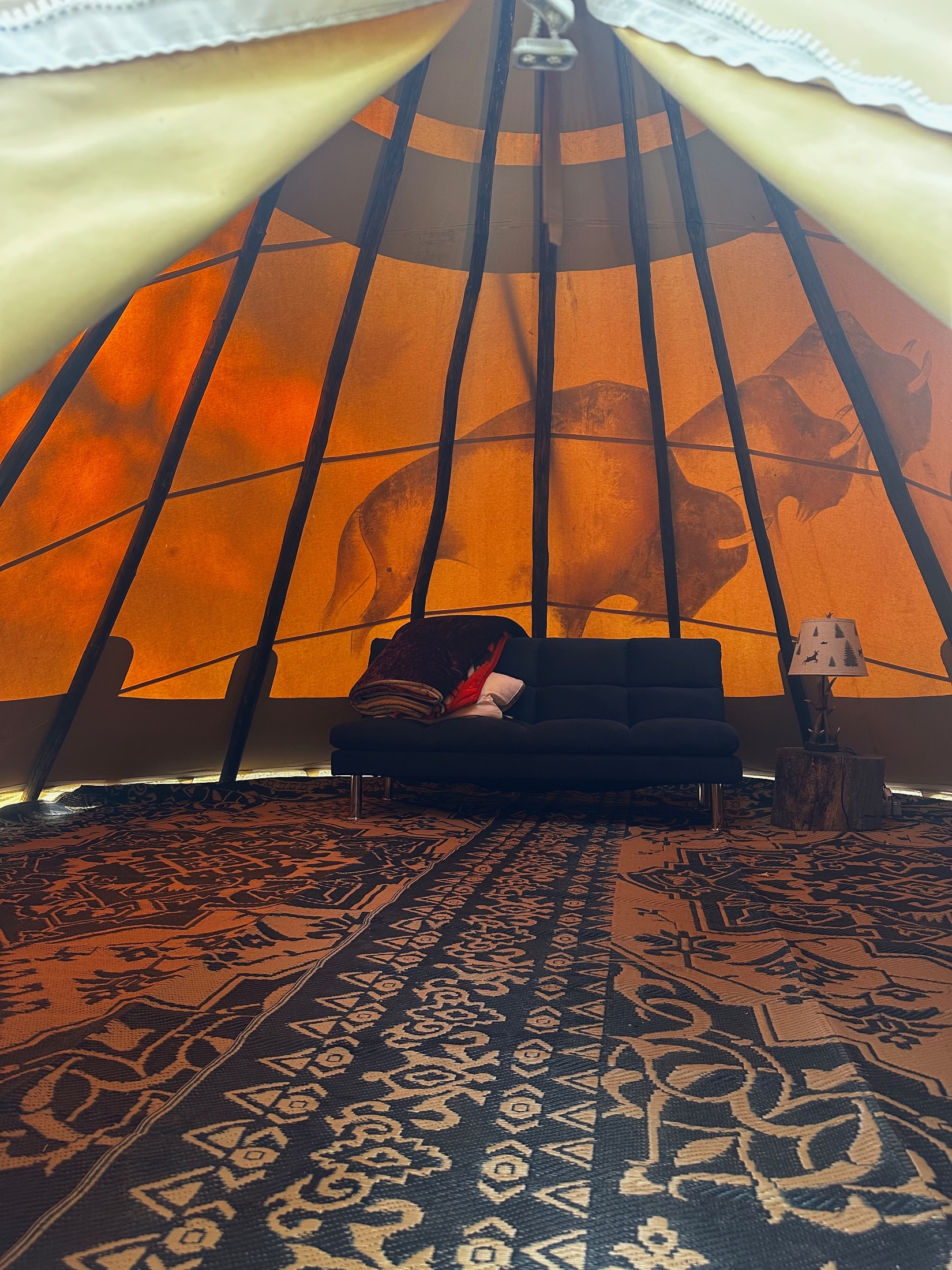 Buffalo Tipi accommodation photo 1