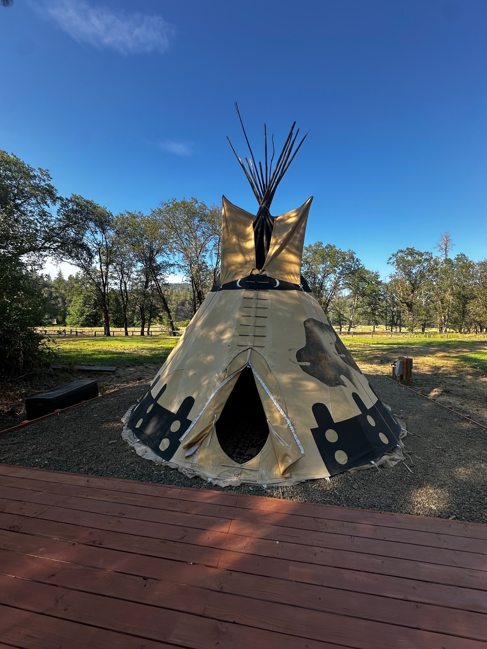 Buffalo Tipi accommodation photo 2