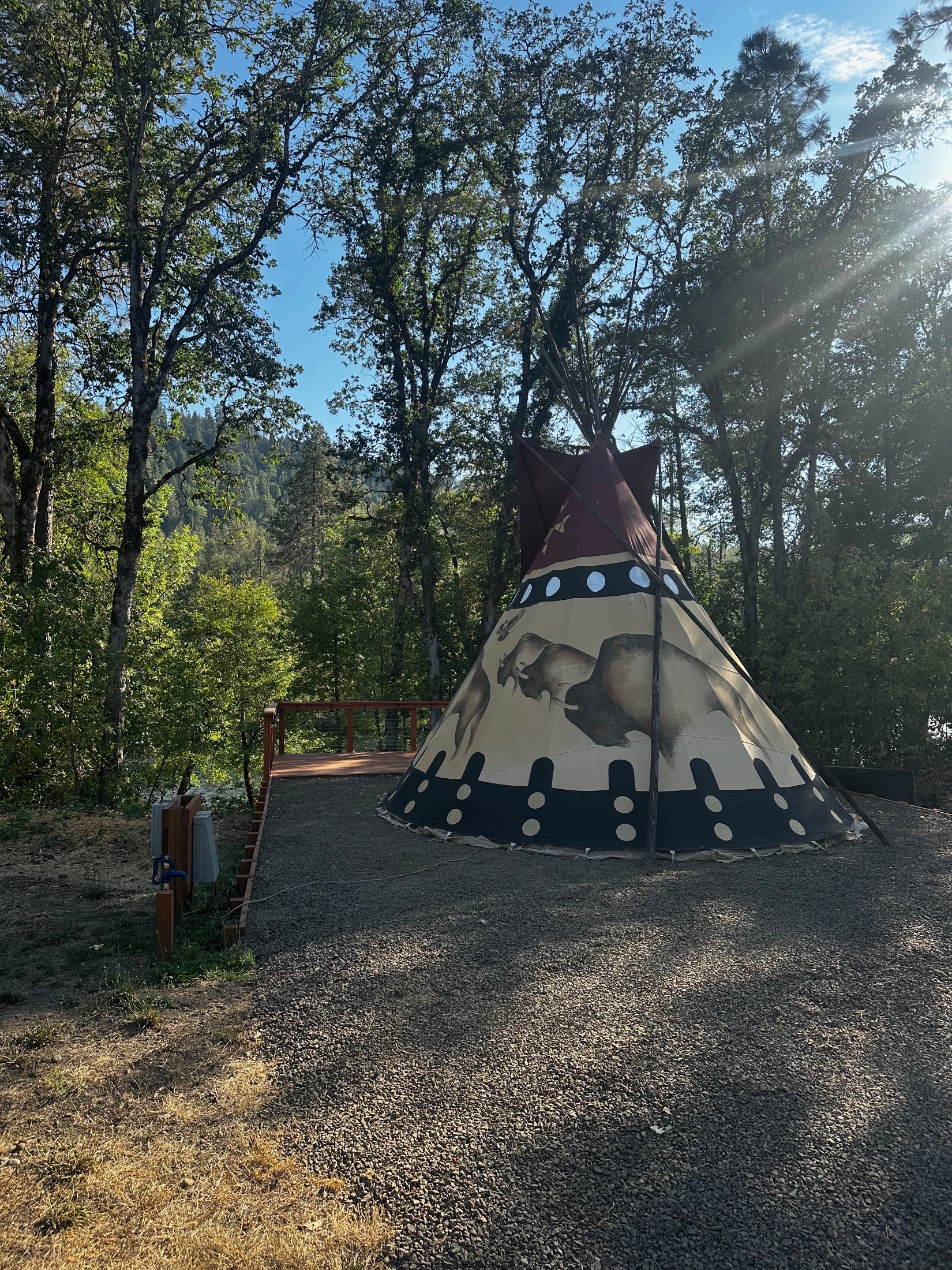 Buffalo Tipi accommodation photo 5